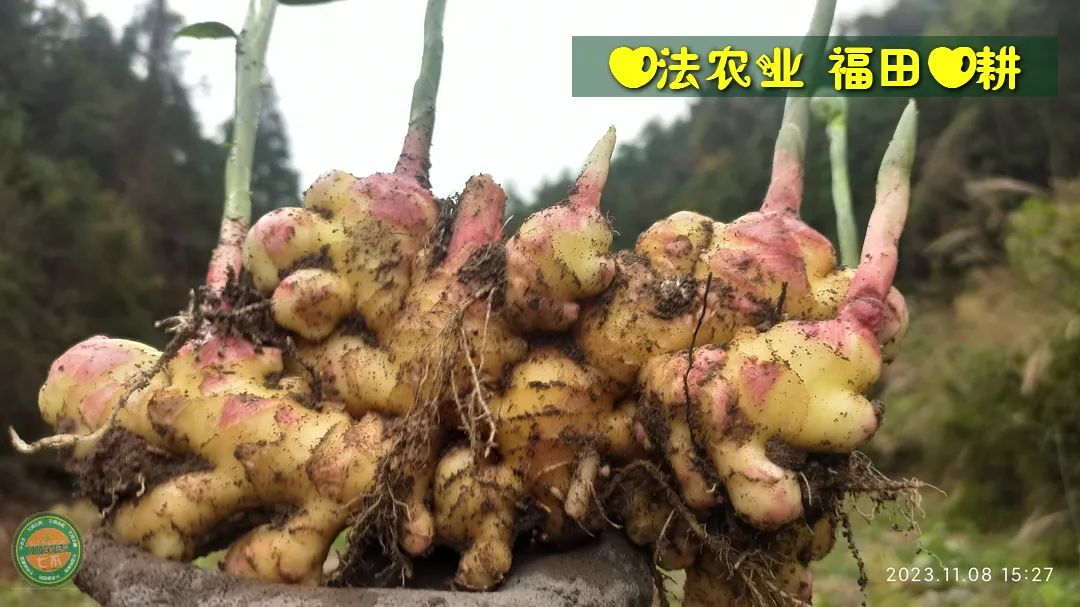 2024年4月春暖花開！春耕優惠“卷”