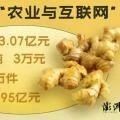農業與互聯網|蒙自小黃姜:電商助農穩度“姜周期”-七不姜 生姜養生網-明德CSA生態姜園&明安農業