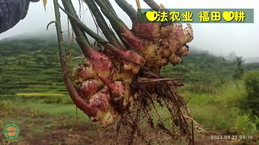 2024年4月春暖花開！春耕優惠“卷”