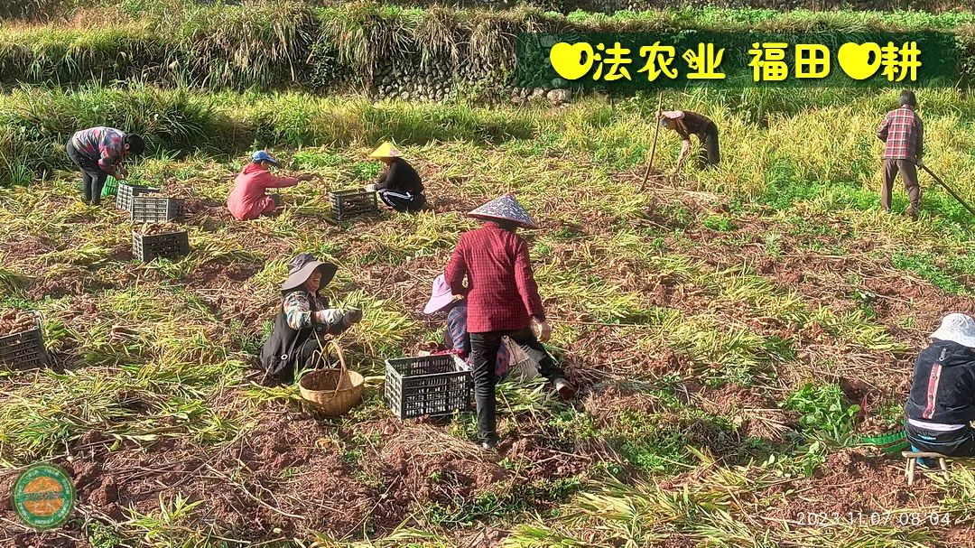 2024年4月春暖花開！春耕優惠“卷”