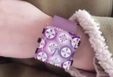 七不姜3月三八節&315感恩回饋！ 三個優惠 ！ 再送世界名品歐洲郵票表時尚時裝表STAMPS CASIO表 派克筆 777-七不姜 生姜養生網-明德CSA生態姜園&明安農業