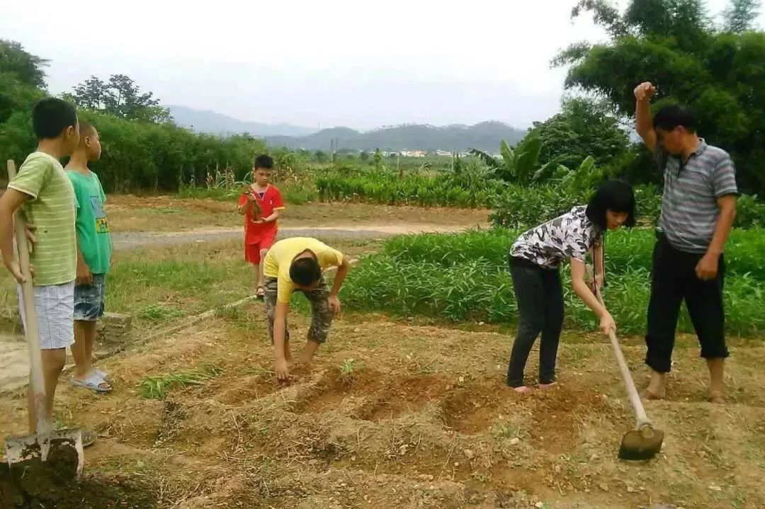 2024年廈門明道國學堂暑期少兒“耕讀結合”特色國學夏令營 招生簡章
