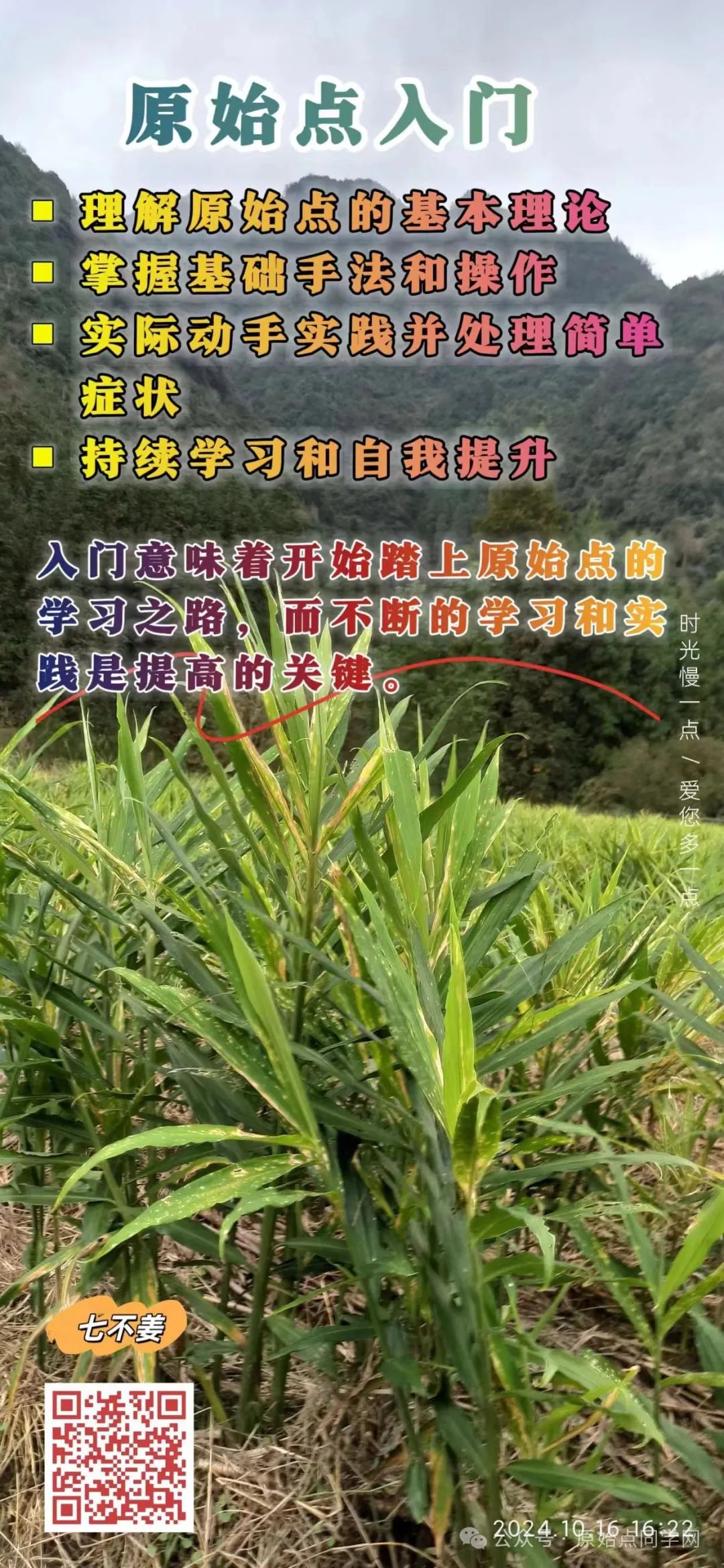 (廣告)雙11 除了七不姜,今天什么姜都別買! (廣告)雙11 除了七不姜,今天什么姜都別買!