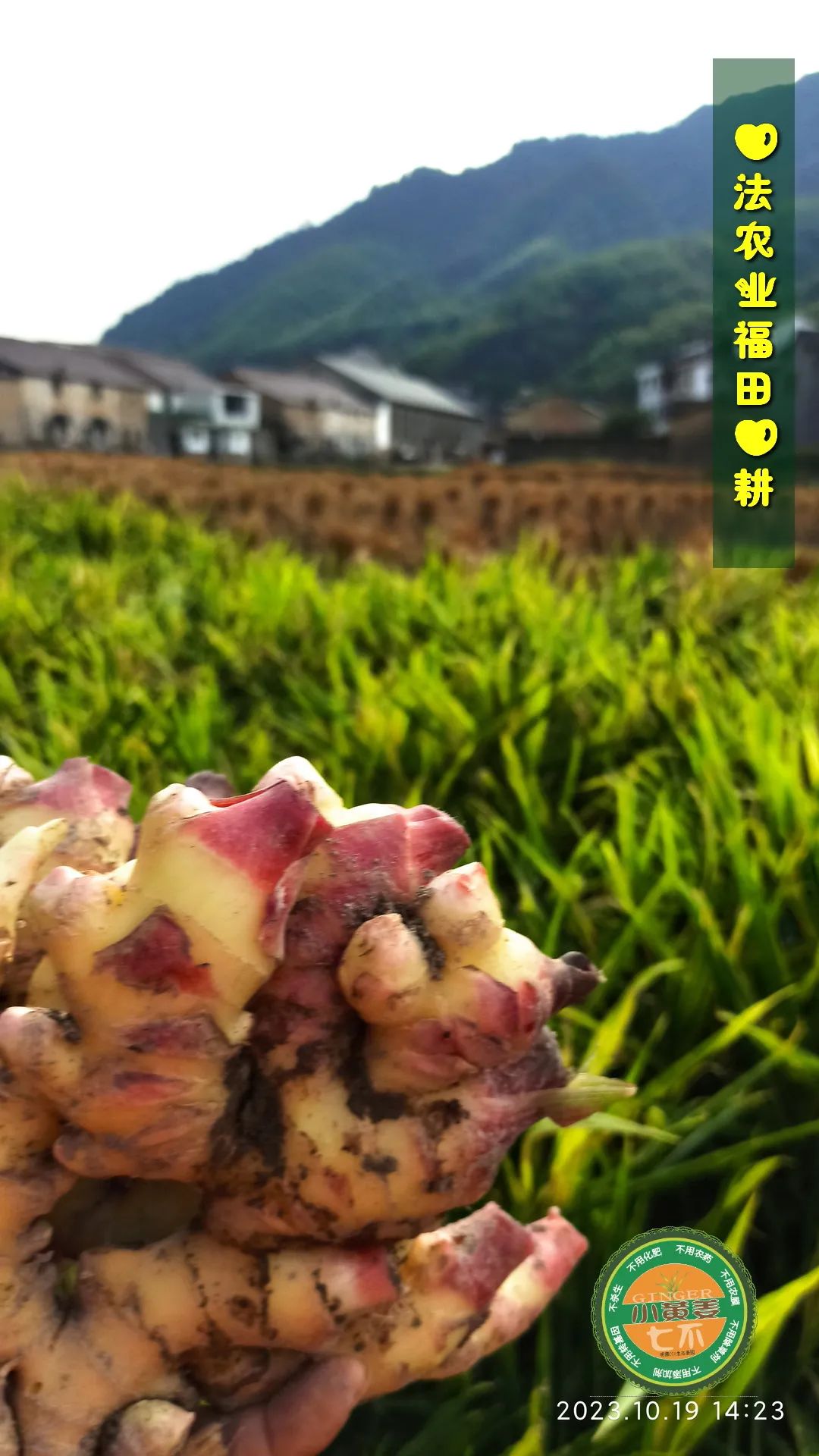 2024年4月春暖花開！春耕優惠“卷”