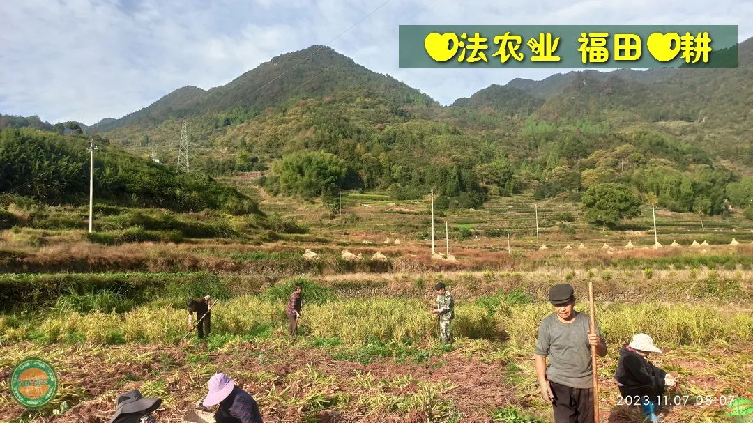 2024年4月春暖花開！春耕優惠“卷”