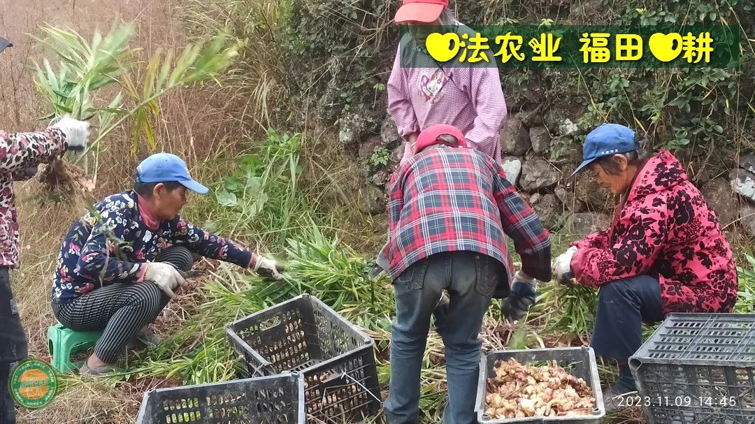 2024年4月春暖花開！春耕優惠“卷”