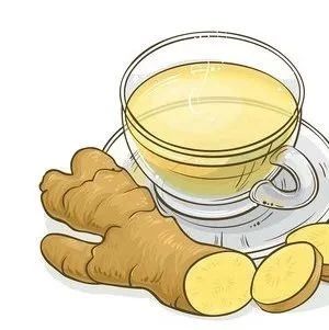 臺郡食單丨臨海，古之食姜-七不姜 生姜養生網-明德CSA生態姜園&明安農業