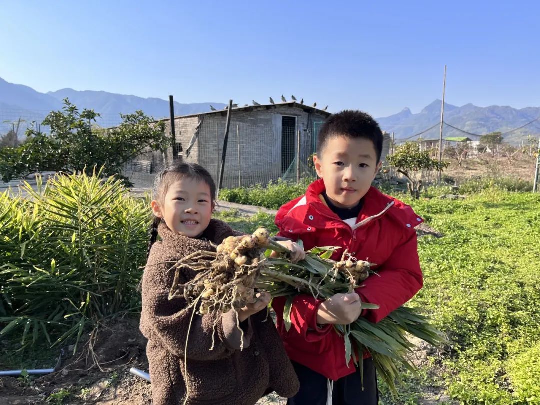 嗨，一起來“姜”快樂進行到底！