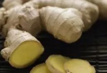 一起和孔子蘇軾徐霞客齊呼：吃姜啊吃姜啊-七不姜 生姜養生網-明德CSA生態姜園&明安農業