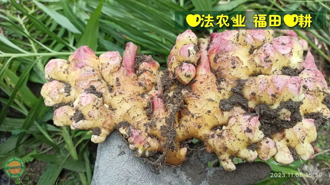 2024年4月春暖花開！春耕優惠“卷”