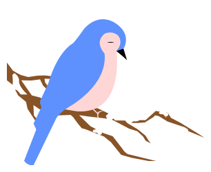 第26期 國學夏令營（周寧營）-七不姜 生姜養生網-明德CSA生態姜園&明安農業