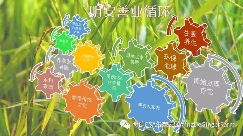 明德CSA生態姜園 - 一個革新的農業未來!尊敬的未來合伙人，誠摯邀請您成為七不姜姜園的股東合伙人....