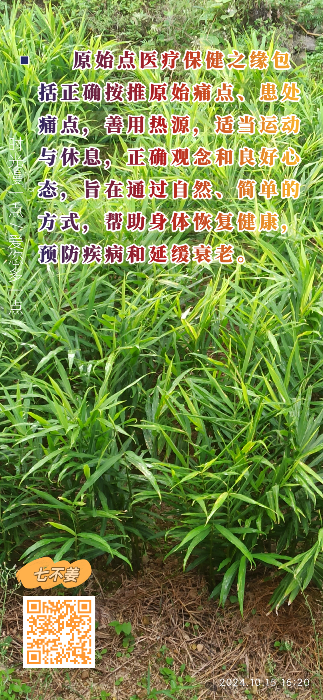 (廣告)雙11 除了七不姜,今天什么姜都別買! (廣告)雙11 除了七不姜,今天什么姜都別買!