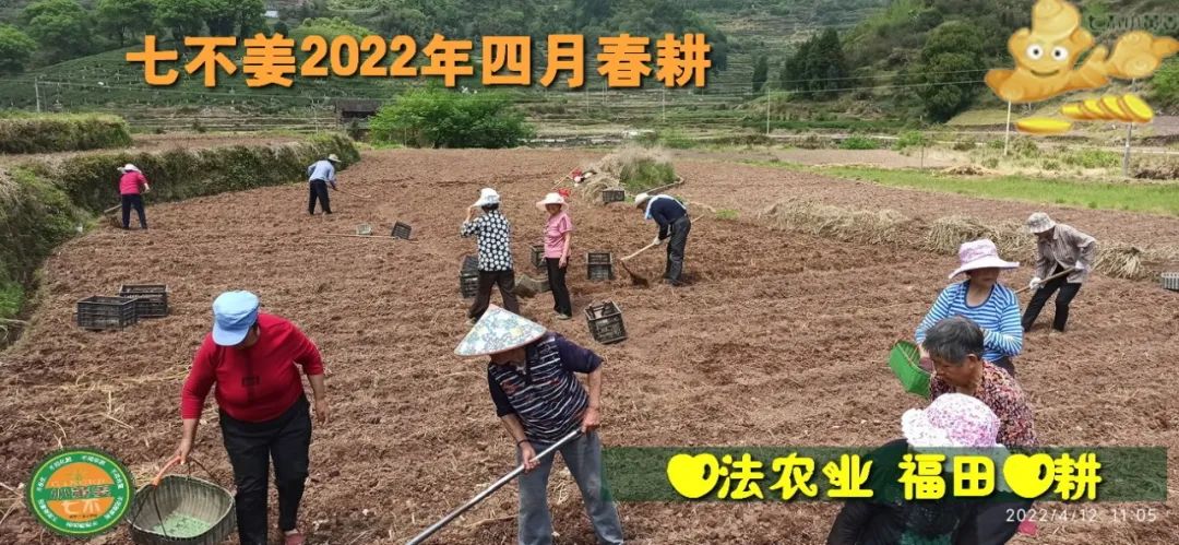 張醫師線上直播-2021年新年專題講座——原始點對新冠病毒的處理方法-七不姜 生姜養生網-明德CSA生態姜園&明安農業