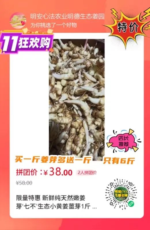 (廣告)雙11 除了七不姜,今天什么姜都別買! (廣告)雙11 除了七不姜,今天什么姜都別買!
