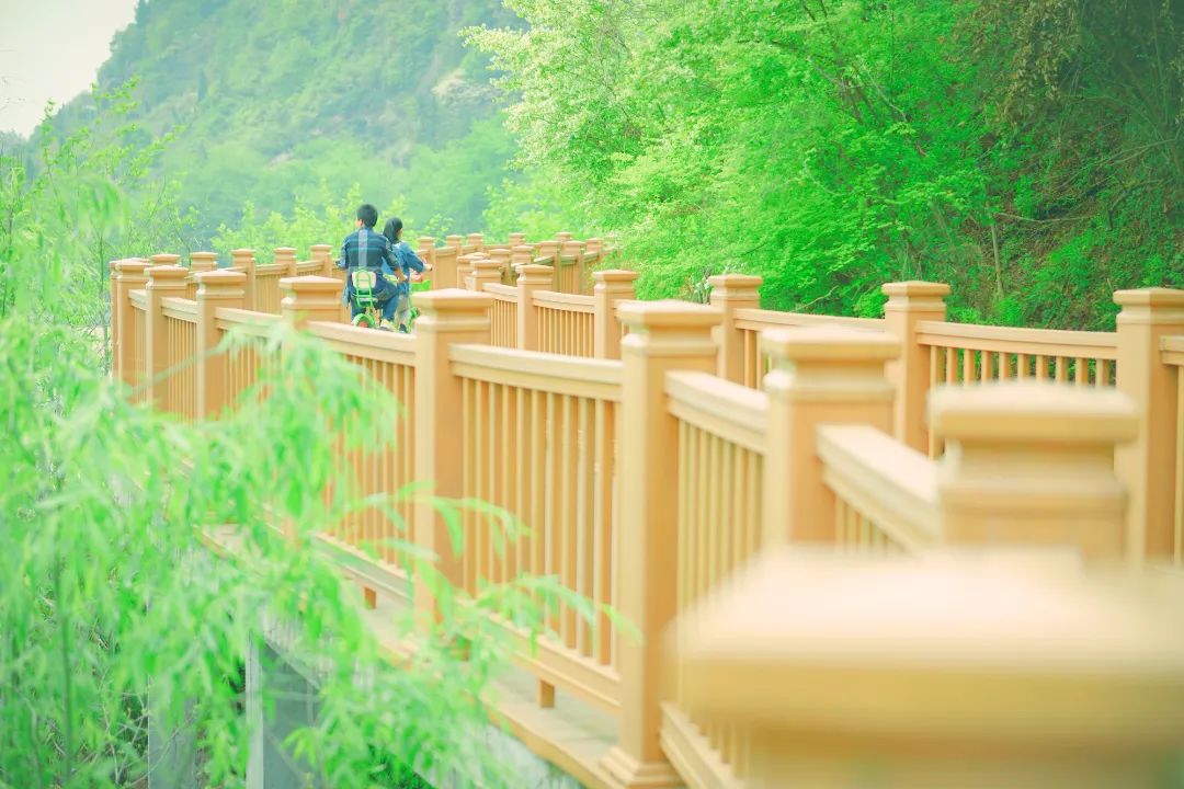 仙居仙景 | 想你的風還是吹到了仙居，“爾濱”老鐵們！看仙居給咱整點啥→