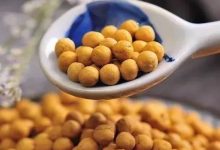 孩子喝姜湯怕辣？有機姜丸——給你純純的愛！-七不姜 生姜養生網-明德CSA生態姜園&明安農業