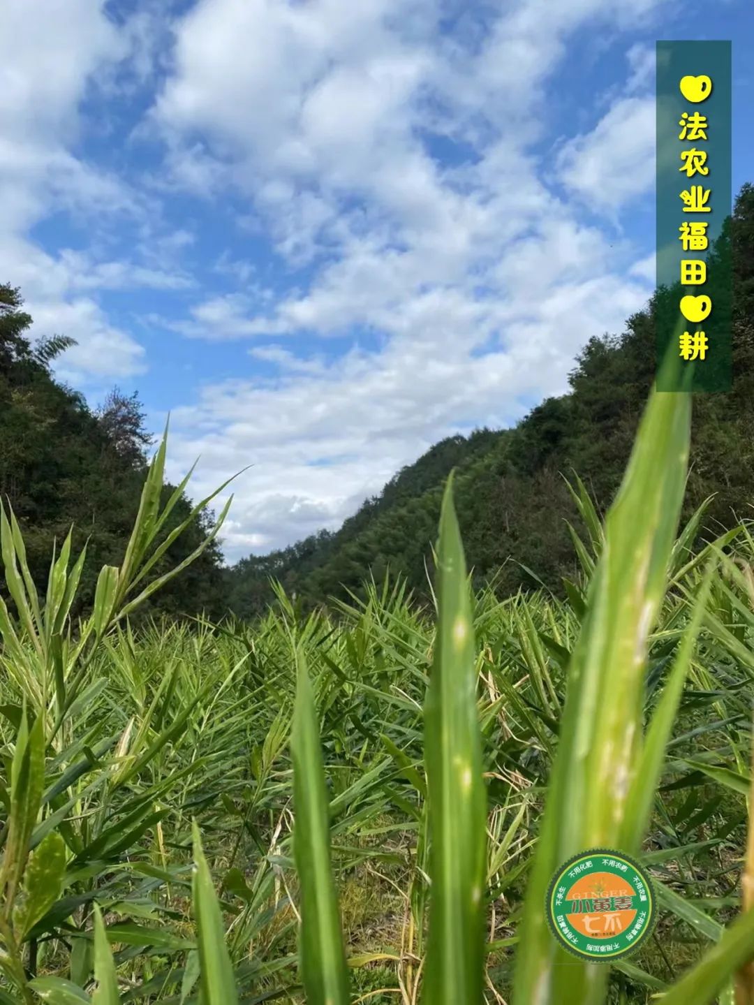 2024年4月春暖花開！春耕優惠“卷”