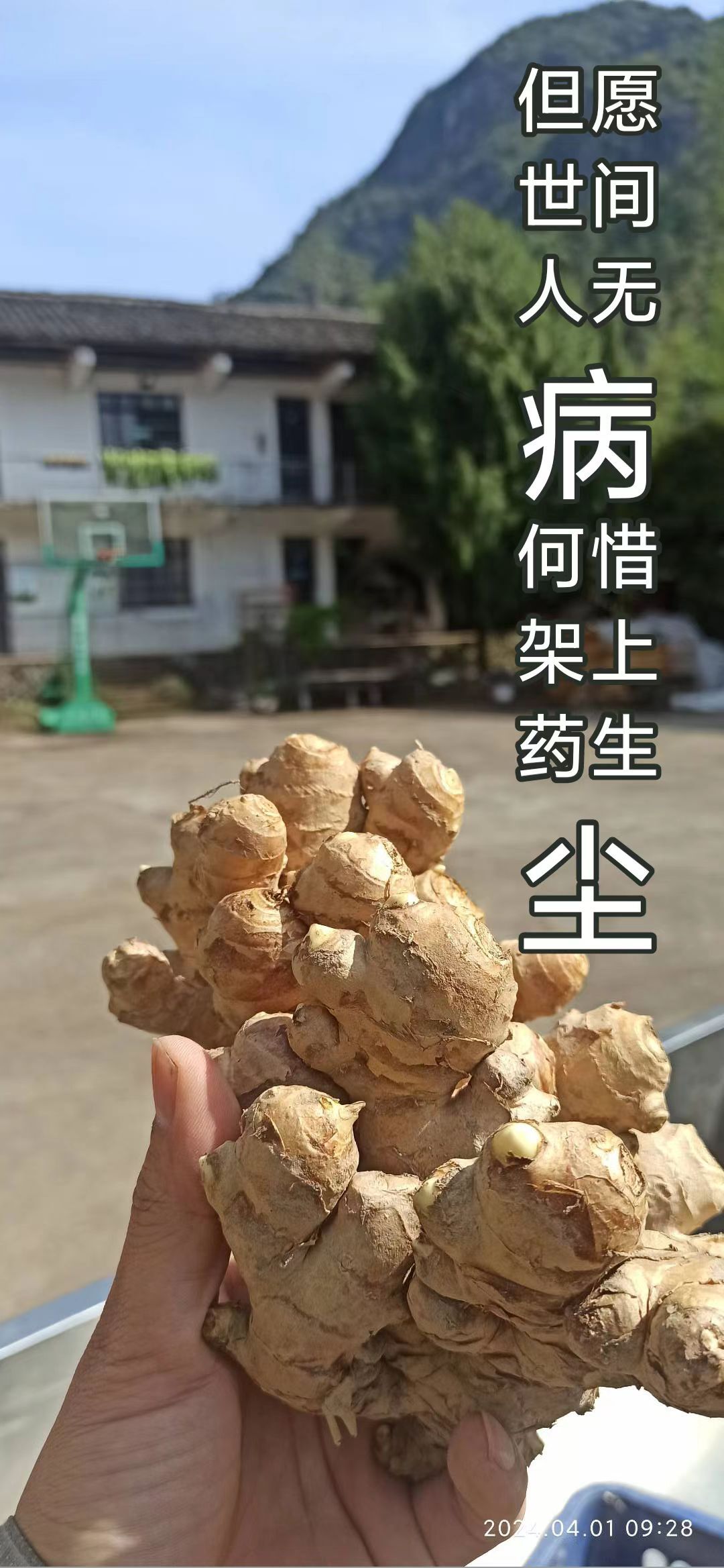 2024年4月春暖花開！春耕優惠“卷”