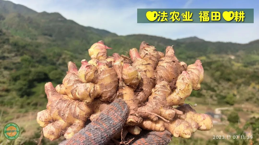 2024年4月春暖花開！春耕優惠“卷”