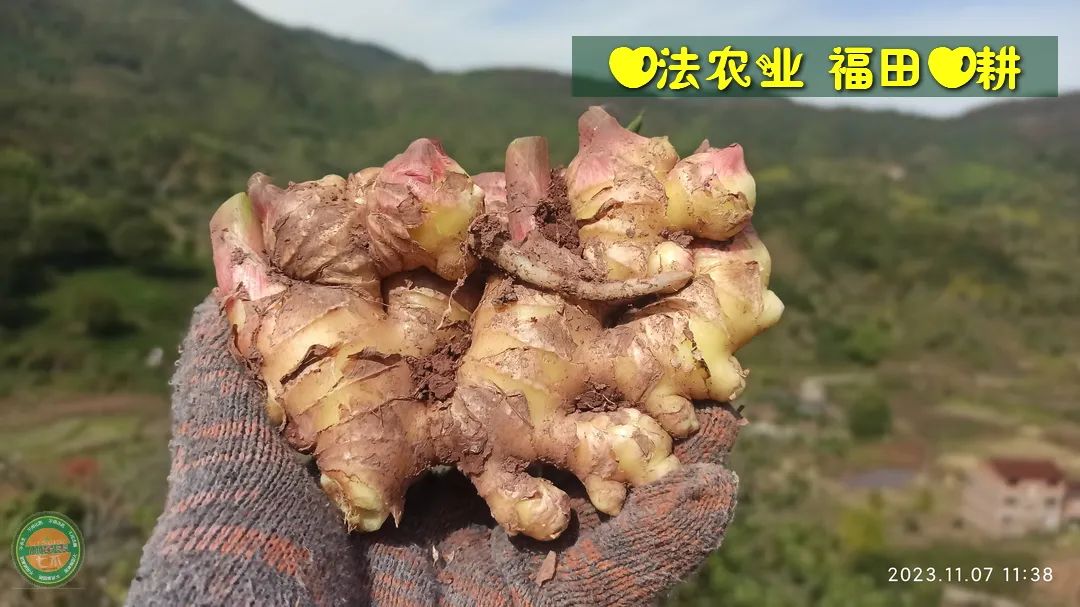 2024年4月春暖花開！春耕優惠“卷”
