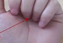 失眠搓腳，早醒揉手，多少失眠都是這么搓好的！-七不姜 生姜養生網-明德CSA生態姜園&明安農業