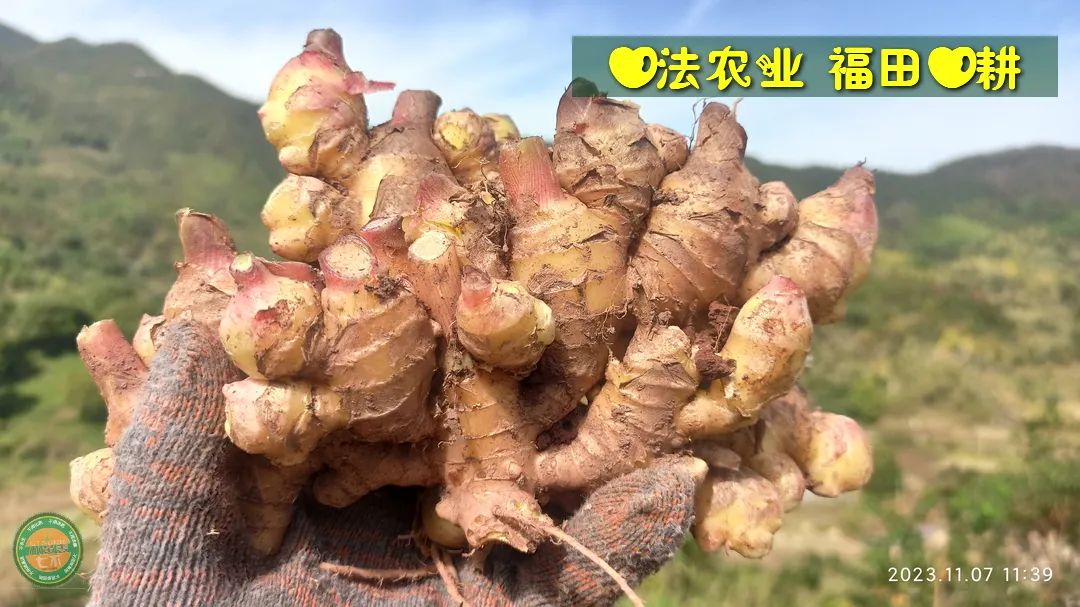 2024年4月春暖花開！春耕優惠“卷”