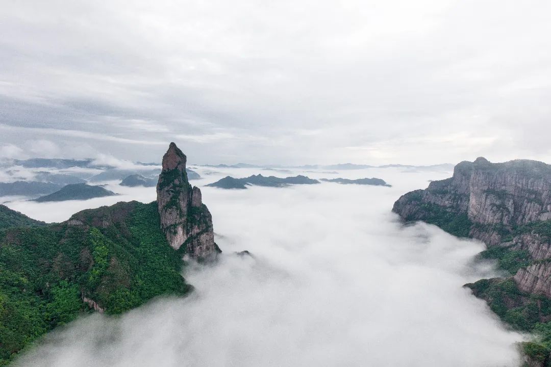 仙居仙景 | 想你的風還是吹到了仙居，“爾濱”老鐵們！看仙居給咱整點啥→