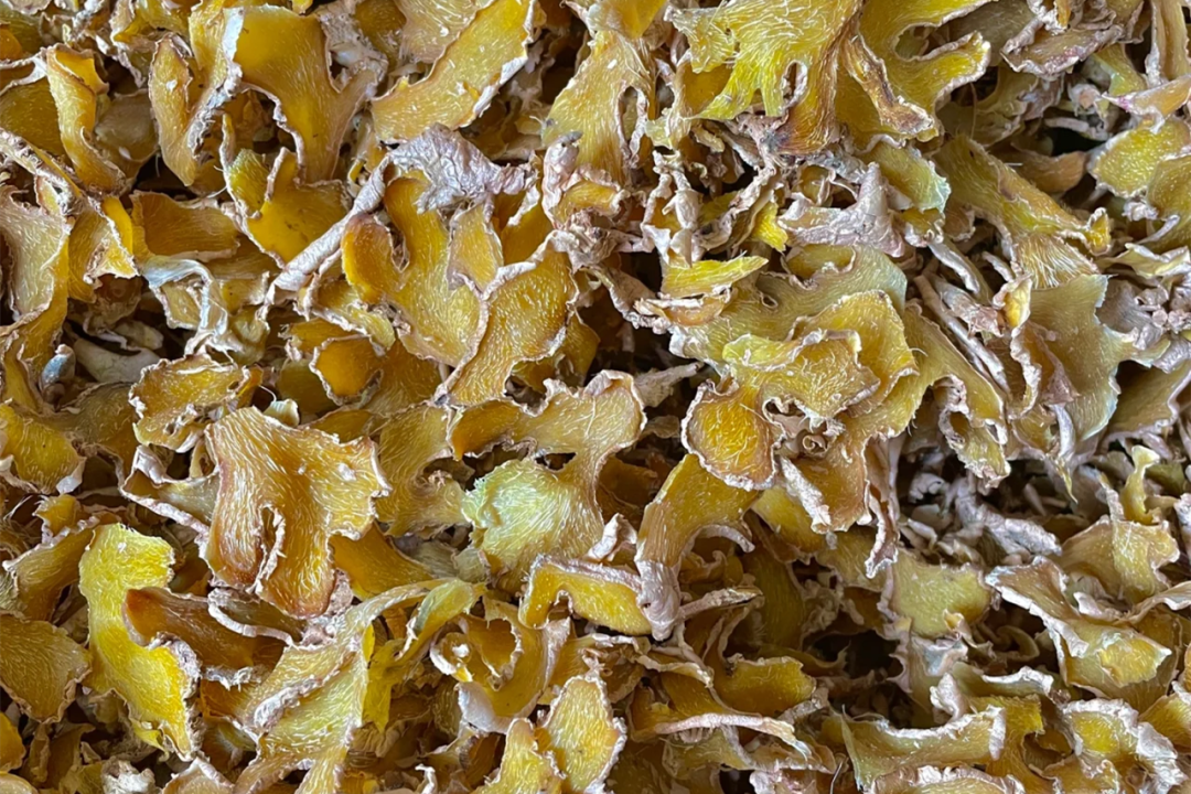 尋味臺州｜鄧紫棋都愛吃的姜湯面，究竟有什么魅力？