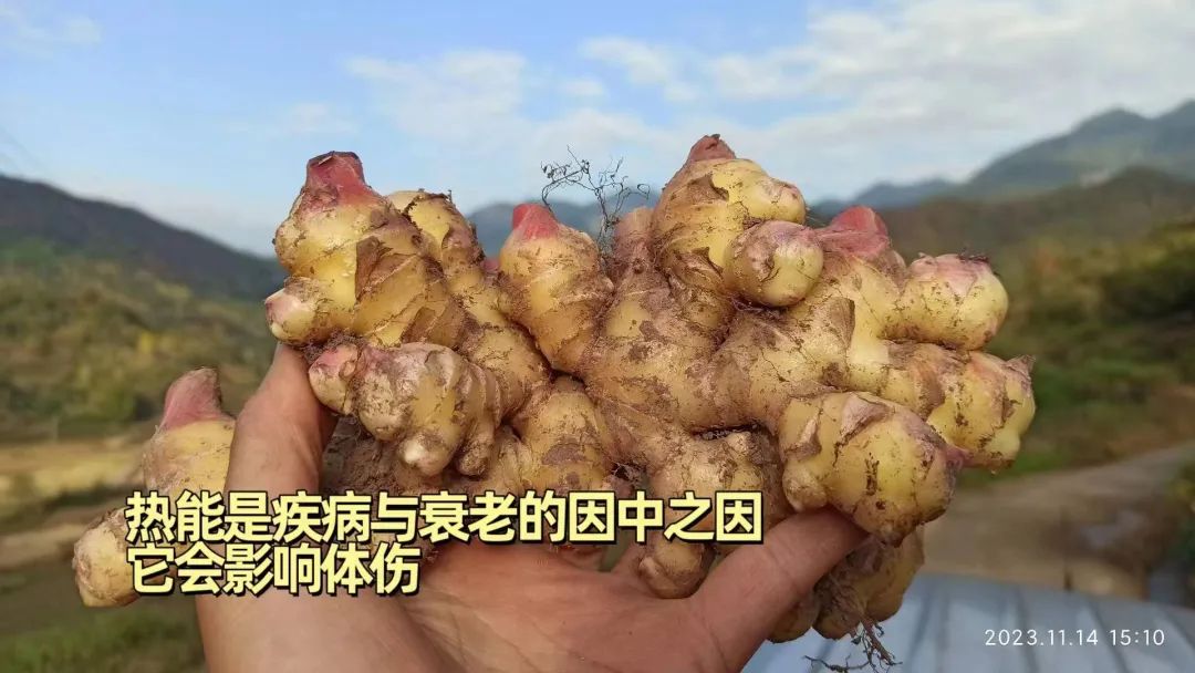 九月中秋套裝好禮!送人參酒!中秋快樂!生姜 大米優惠“卷” 經濟下行送劵