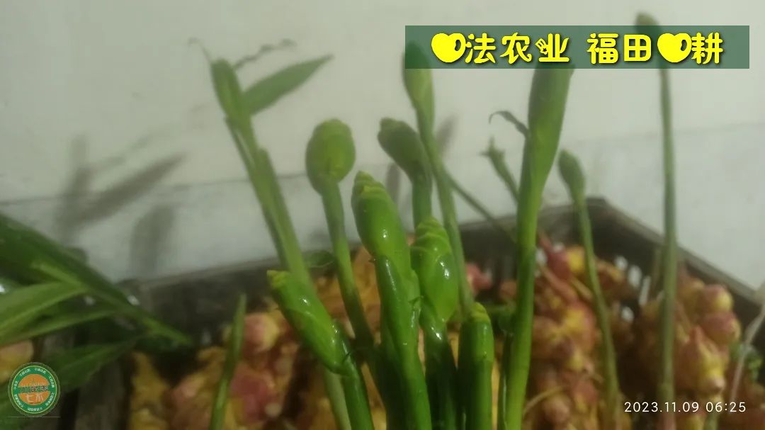 2024年4月春暖花開！春耕優惠“卷”