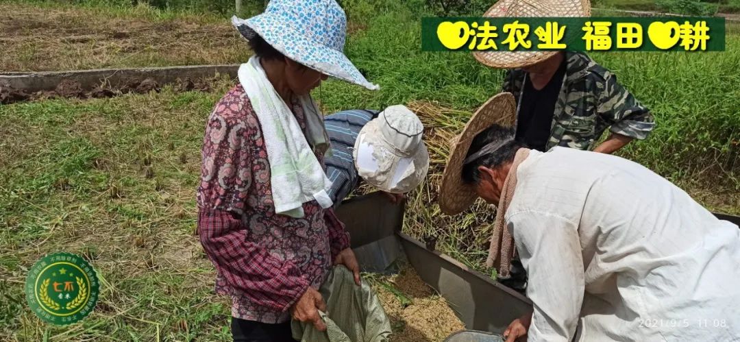 新冠病毒急救處理方法 2021.05.02 及基金會新冠肺炎案例匯總-七不姜 生姜養生網-明德CSA生態姜園&明安農業