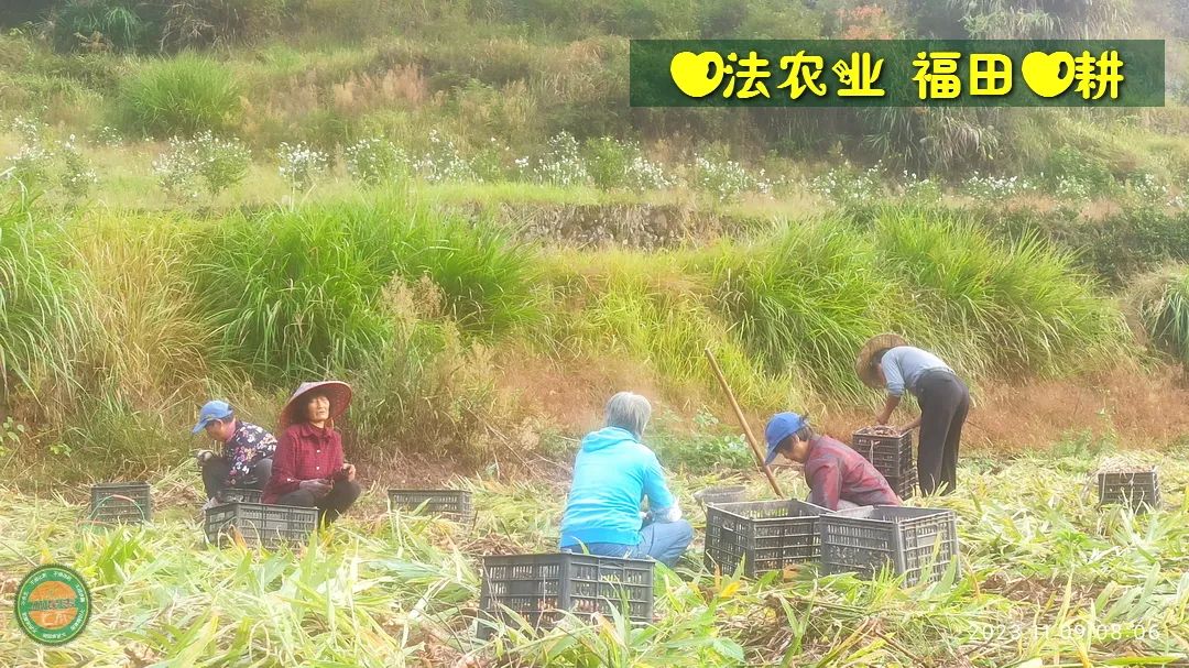 2024年4月春暖花開！春耕優惠“卷”