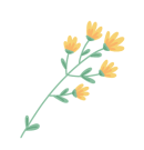 案例分享：小孩毛囊炎反復發作調理案例