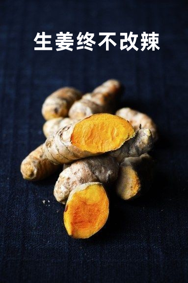 不覺日又夜 爭教人少年 和尚豈無方便 生姜終不改辣-禪宗 《虛堂和尚語錄》-七不姜 生姜養生網-明德CSA生態姜園&明安農業