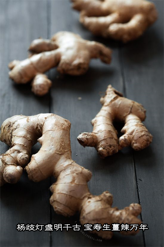楊歧燈盞明千古，寶壽生姜辣萬年。-七不姜 生姜養生網-明德CSA生態姜園&明安農業