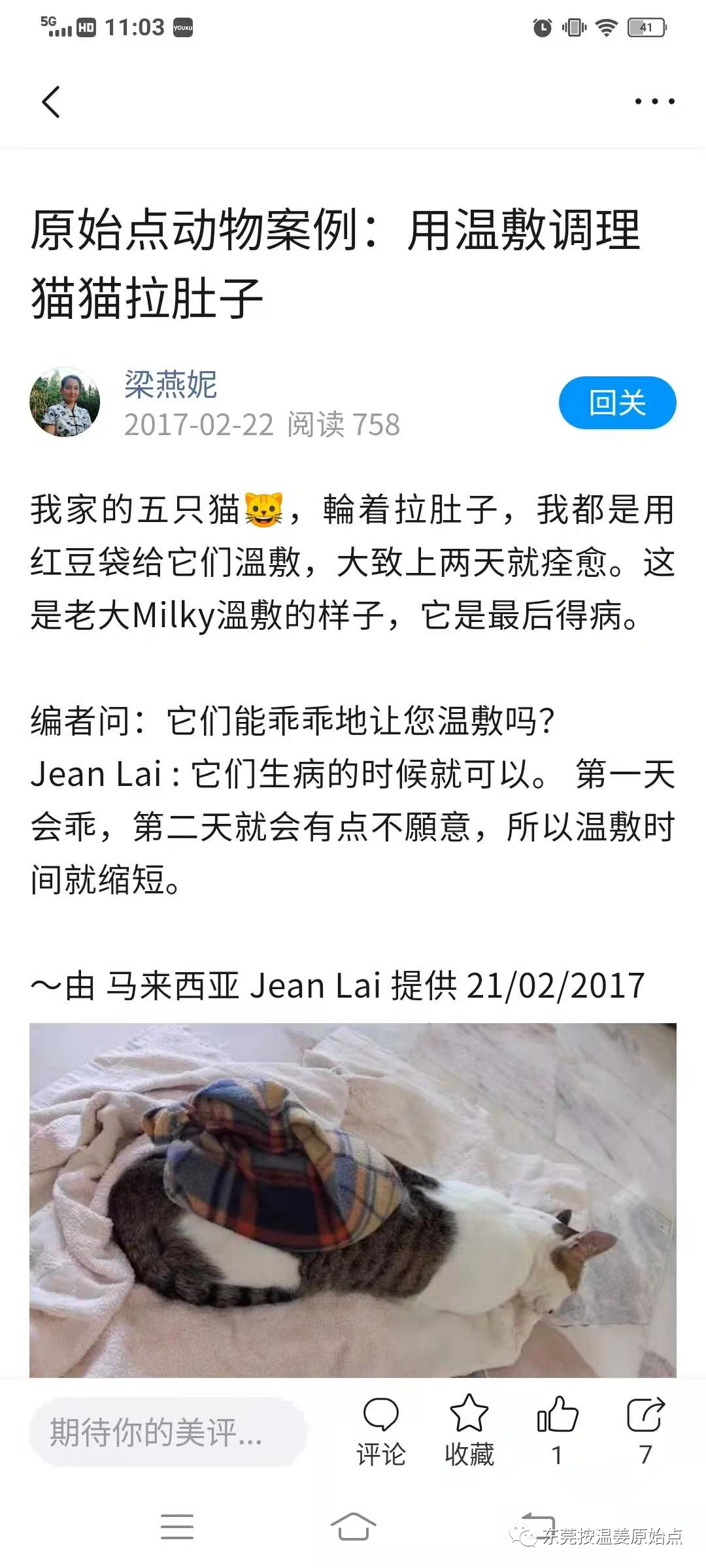 原始點調理動物（雞、魚、狗、貓、牛、鴿子等）