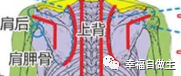 5年右肩及上半身疼痛緩解案例！